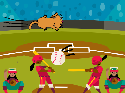 baseball