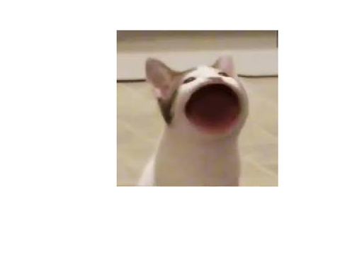 popcatpopcatpopcatpopcatpopcatpopcatpopcatpopcatpopcatpopcatpopcatpopcatpopcatpopcat
