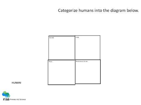 Charles Darwin Interactive Worksheet