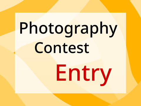 ♕ | 460+ Photography Contest Entry