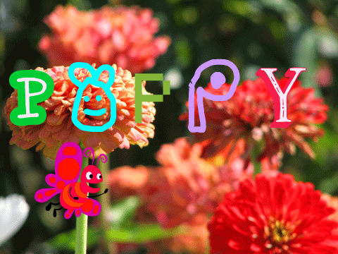 poppy