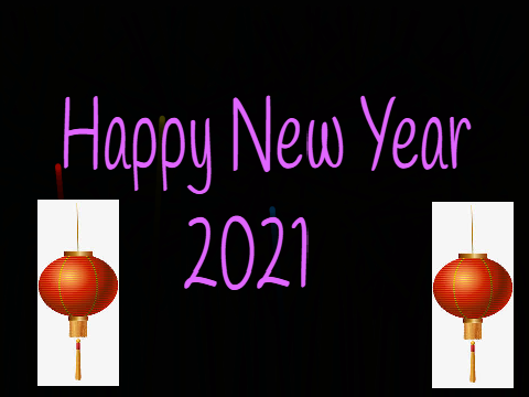 New Years Fireworks!