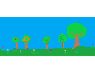 Forest?