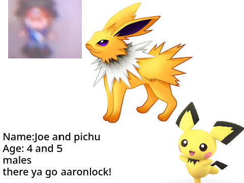 my pokemon