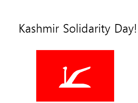 Kashmir Solidarity Day!