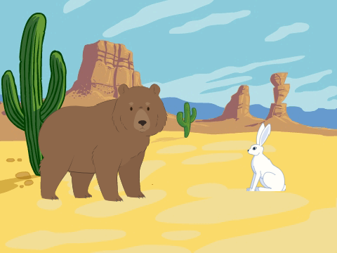 Animals desert