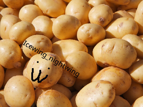 add your self as a potato remix