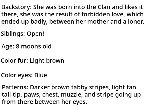 Twigpaw's bio for Warrior Cats Roleplay