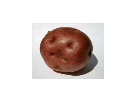 SCP-2635 | Hot Potato | Euclid