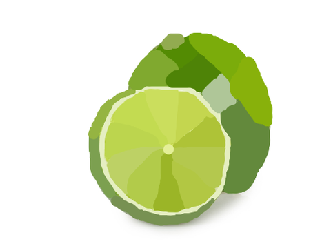 Fruit block shade (part 3)