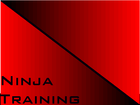 Ninja Training v.02