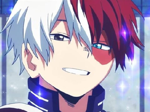 TODOROKI 