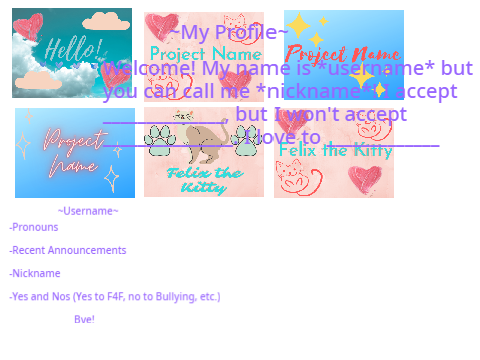 FelixtheKitty123's Order
