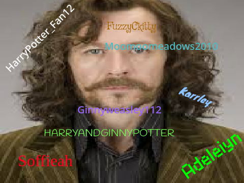 Sign if you love Sirius & think he should've survived! 