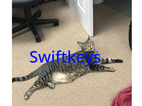 Swiftkeys intro!
