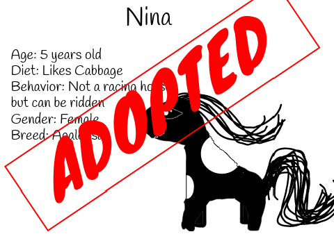 Horses for The Animal Adoption Center!