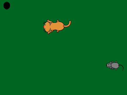 catch the mouse 