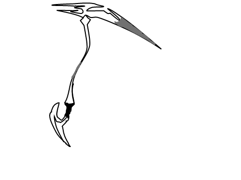 PfP