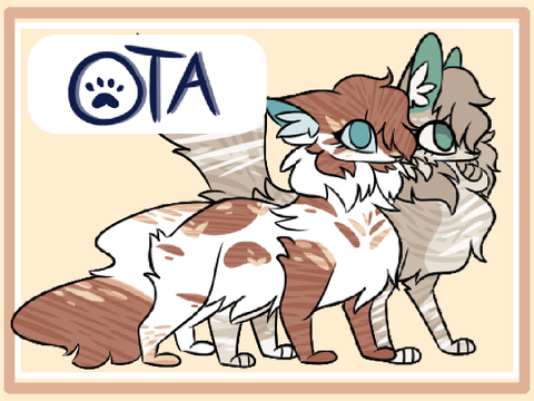 ➳ OTA + Adoptables ➳