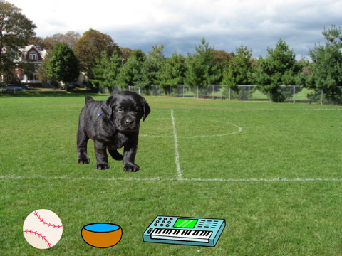 Pet care game with UPDATES COMING SOON!!!!