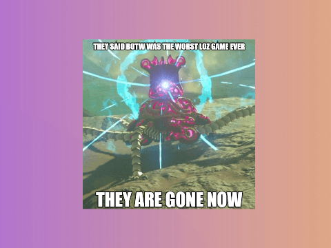 some botw memes