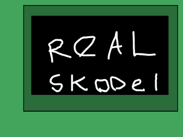 REEL SKOOEL