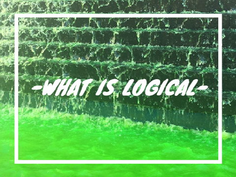 -W H A T  I S  L O G I C A L-