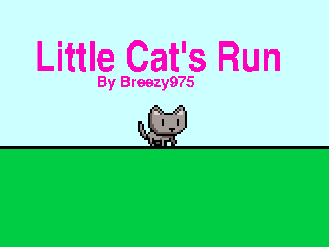 Little Cat's Run!