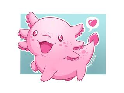  endangered axolotls 
