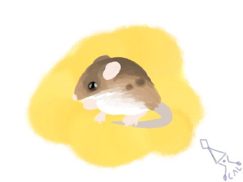 Mouse
