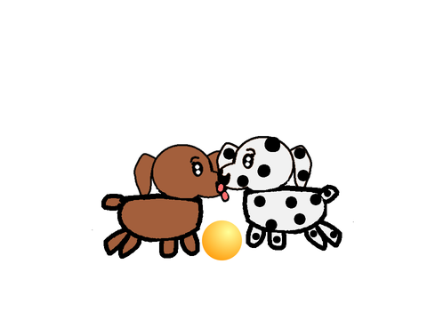 Puppies playing together!