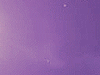 Project thumbnail