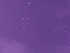 Project thumbnail