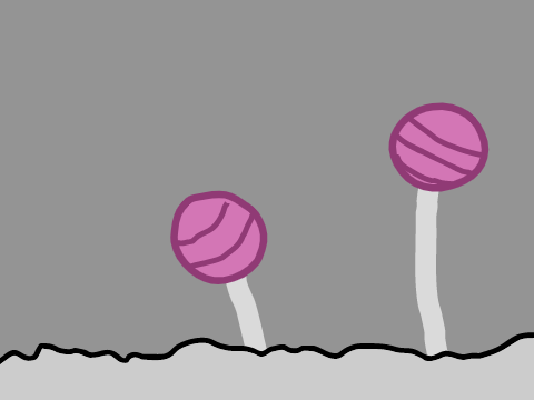 Something about Hollow Knight - Fungal Wastes pt. 3