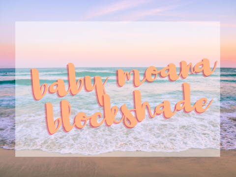 baby moana blockshade
