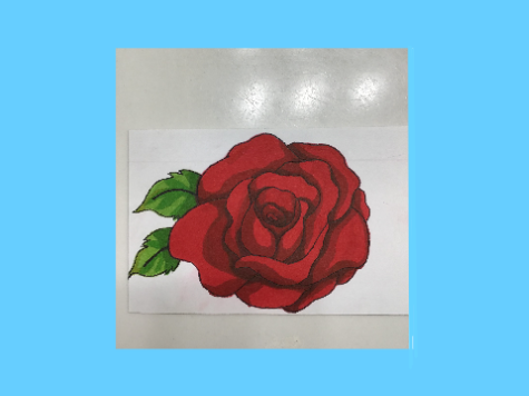 My First Alcohol Marker Drawing!!