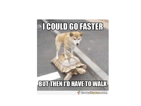 Try not to laugh! (You will probably fail!)