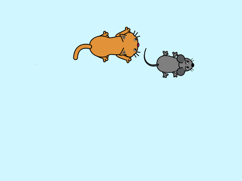Catch The Mouse!