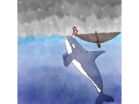 Dolphin art contest entry