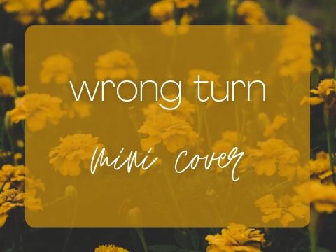 wrong turn mini cover