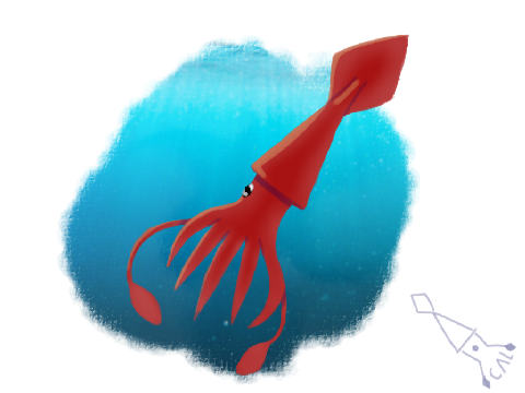 Squid