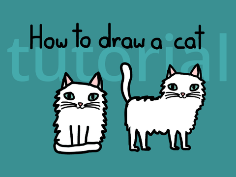 How To Draw A Cat