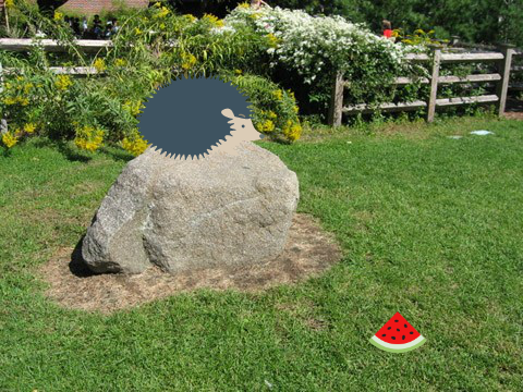 My Pet ( Hedgehog)