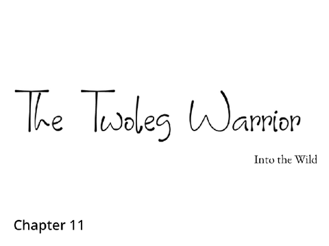 The Twoleg Warrior Chapter 11 A Warrior Cat FanFiction 
