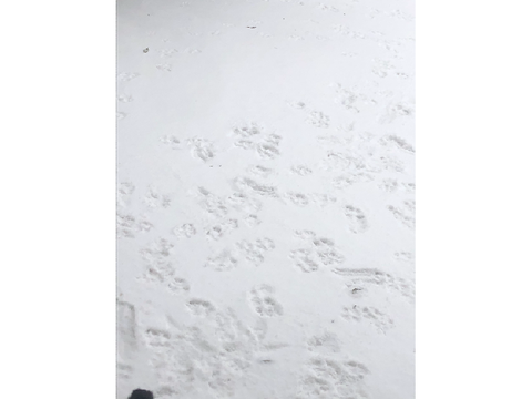 [ The weather out side is frightful ]