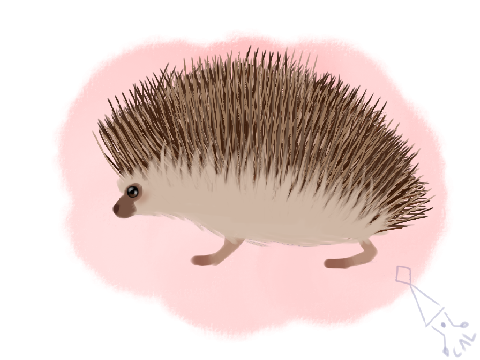 Hedgehog