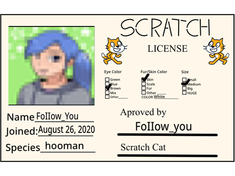 Make Your Own Scratch License remix