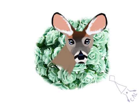 Doe