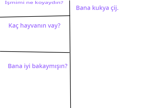 Şayibim olma foymu miyav