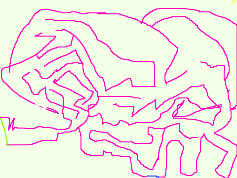 maze